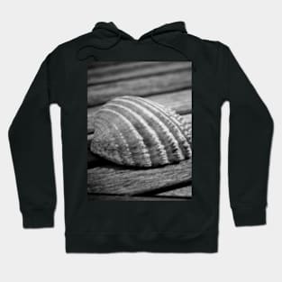 Half a sea shell on wood Hoodie